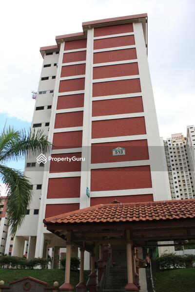 513 Ang Mo Kio Avenue 8