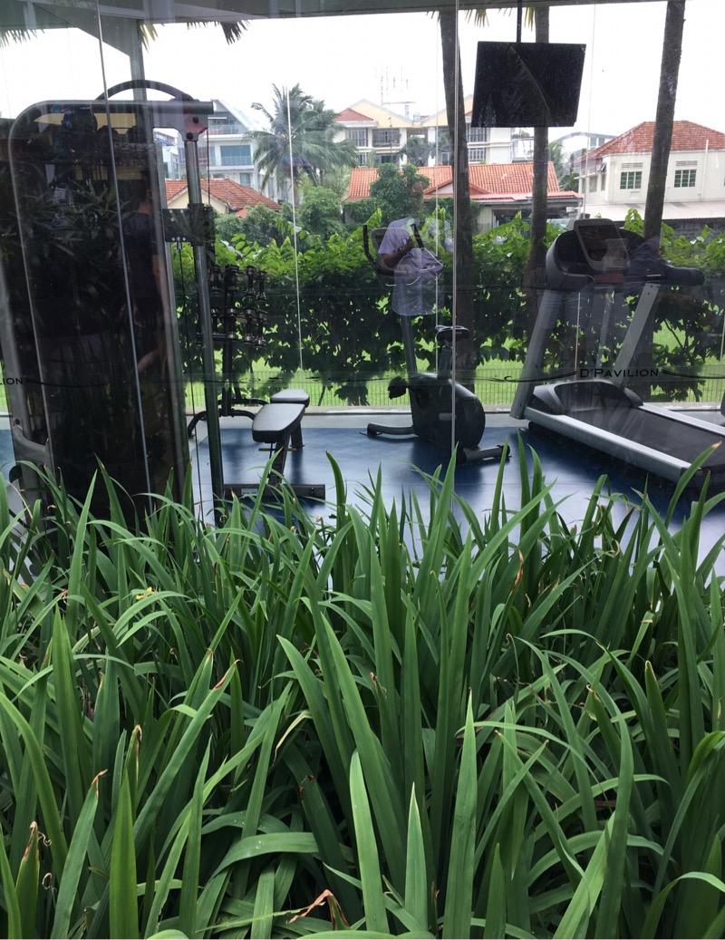 D'Pavilion Condominium For Rent, $6,3004 Bath 1,647 sqft $3.83 psf