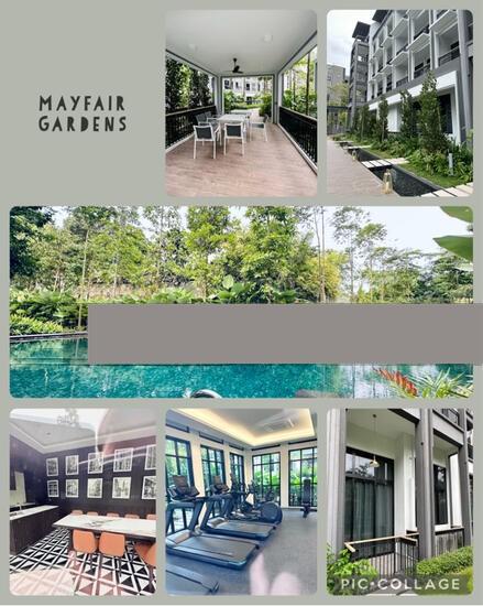 Mayfair Modern Condominium For Rent, $3,400, 1 Bed 1 Bath 506 sqft $6.72 psf