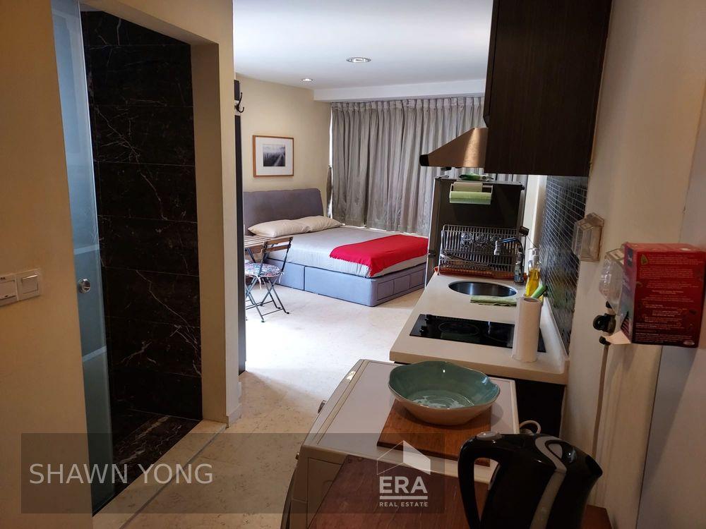 Condominium for Rent: Kim Yam Road, D09, 239319