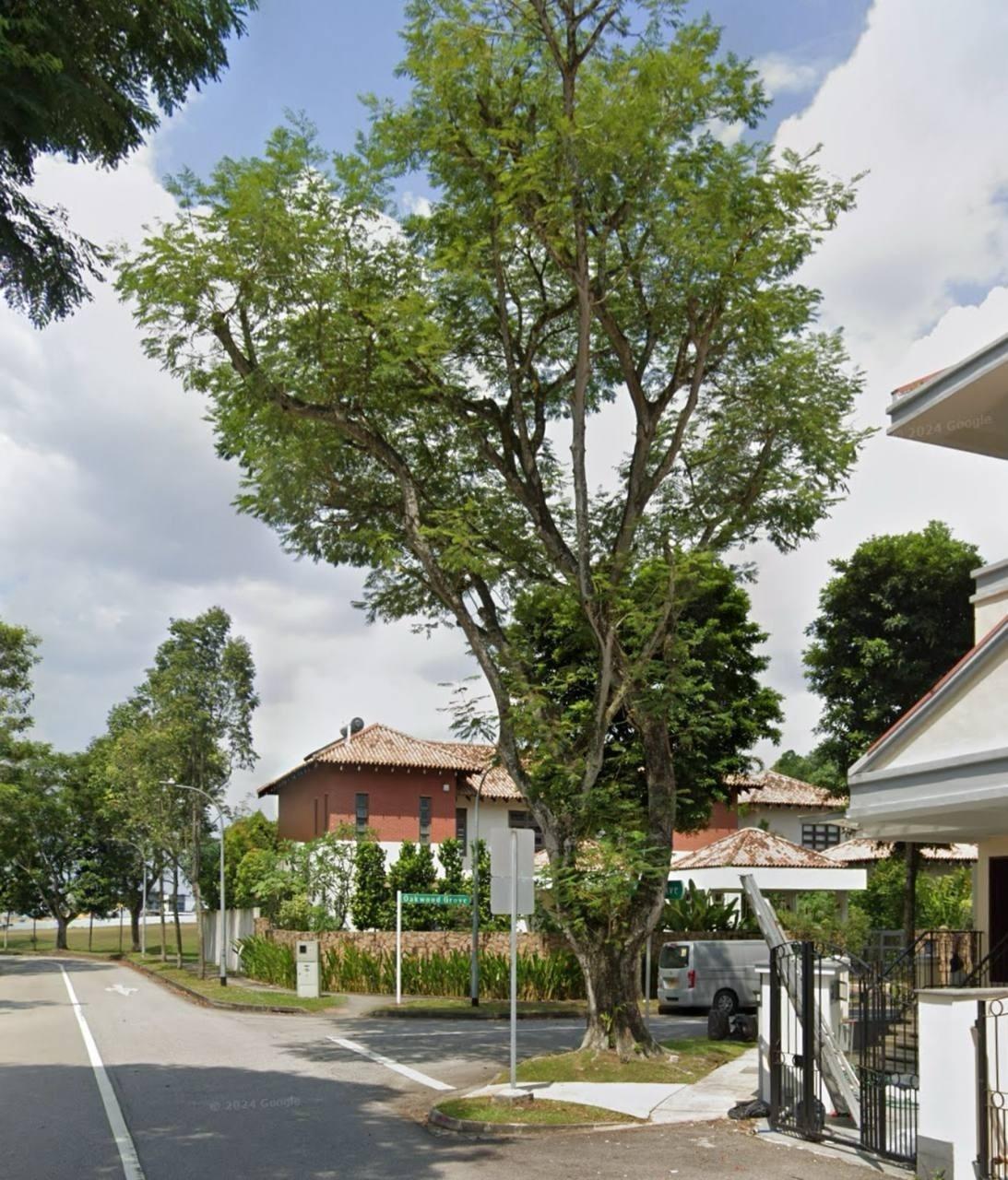 52 WOODGROVE AVENUE Terraced House For Rent, $12,500, 4 Bed 4 Bath 4,600 sqft $6.25 psf