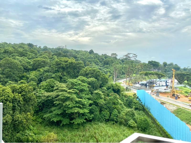 Kingsford Hillview Peak Condominium For Rent, $3,150, 1 Bed 1 Bath 517 sqft $6.09 psf