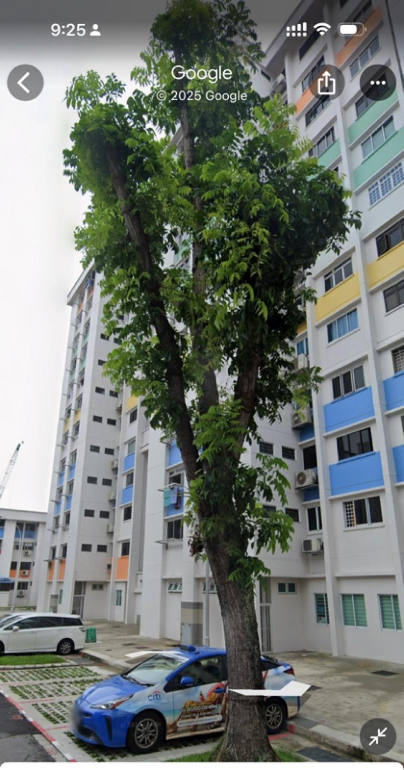 HDB Apartment for Rent: Yishun, D27, 760879