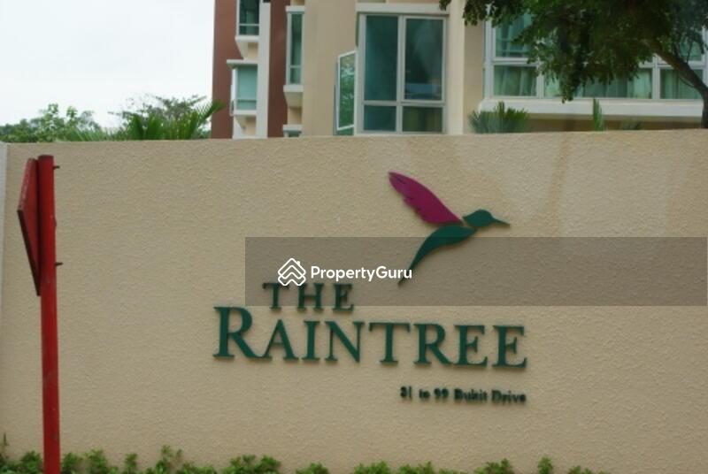 The Raintree