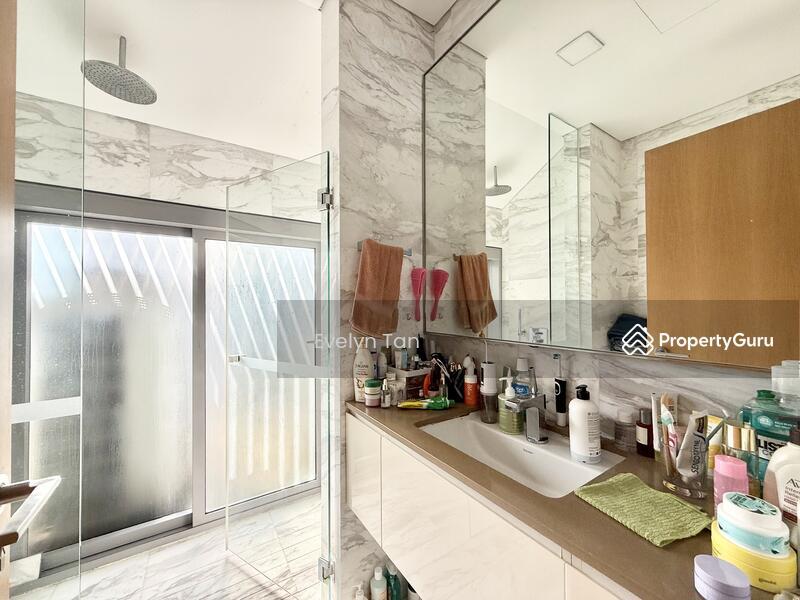 The Holland Collection