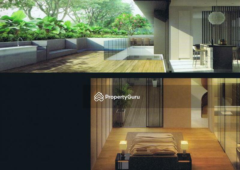 The Holland Collection