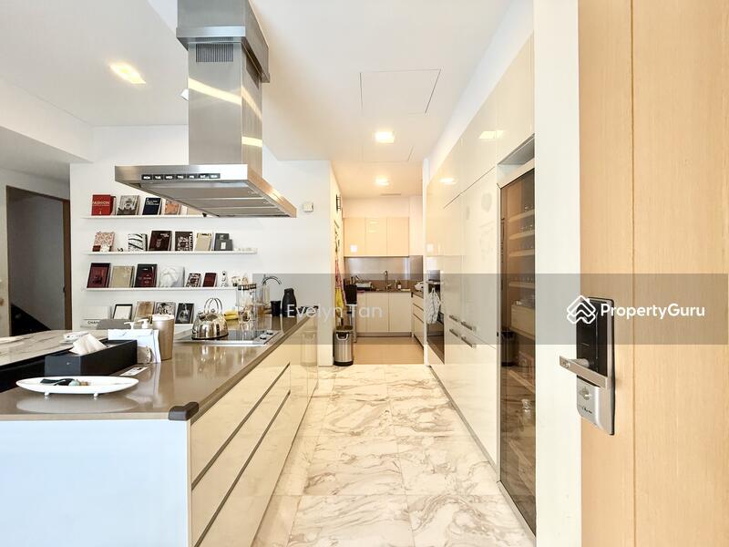 The Holland Collection