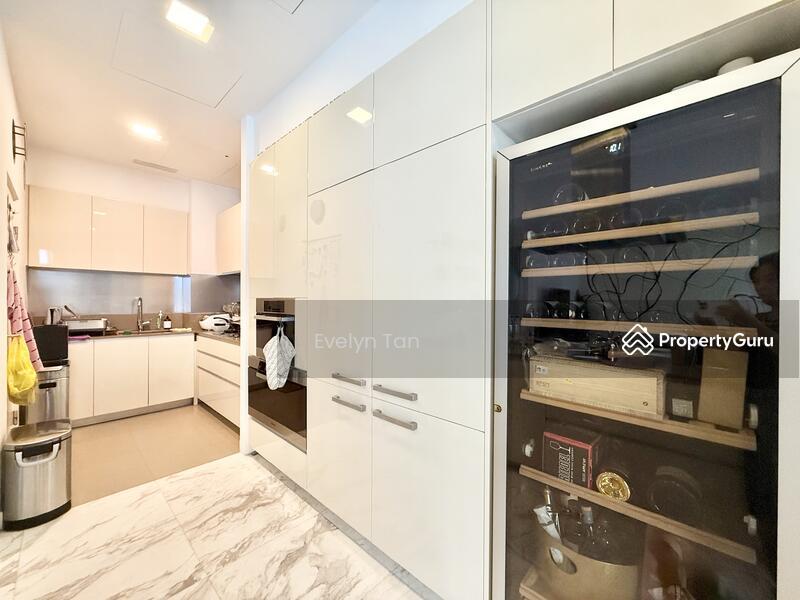 The Holland Collection