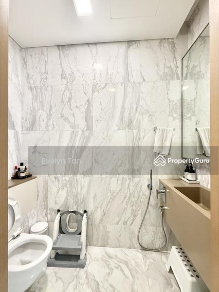 The Holland Collection