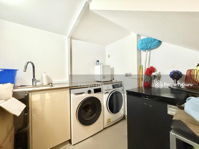 The Holland Collection