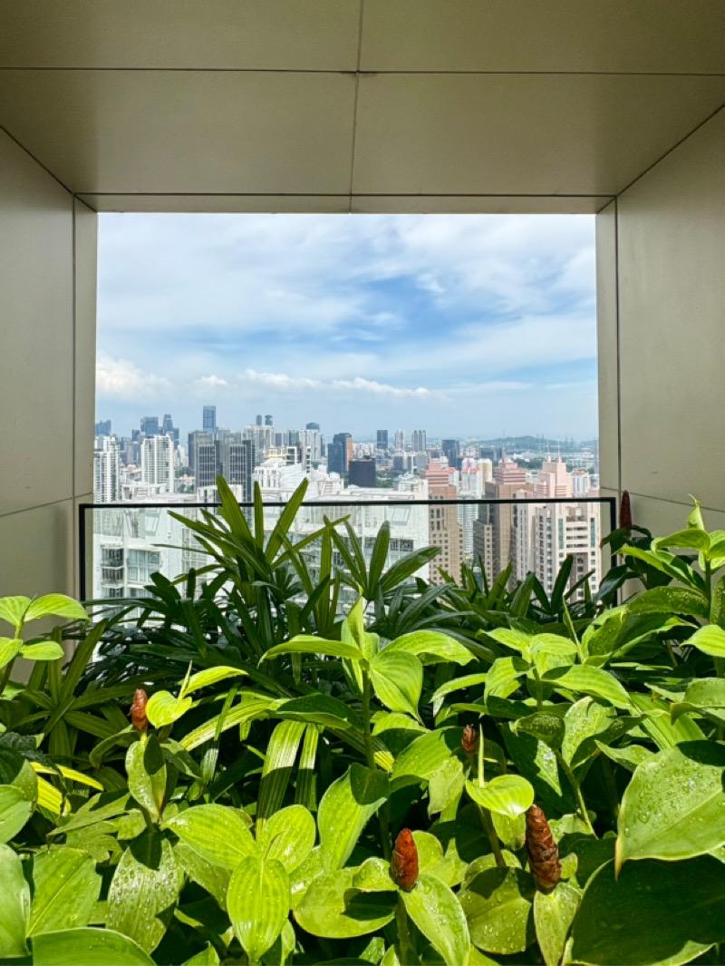 Condominium for Rent: Leonie Hill, D09, 239588