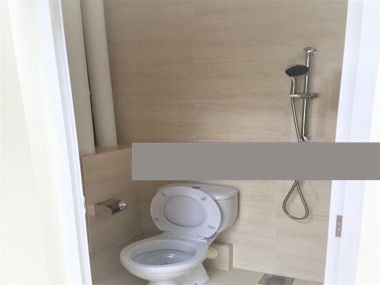 CAPITOL PARK Semi-Detached House For Rent, $14,000, 5 Bed 5 Bath 3,200 sqft $4.12 psf