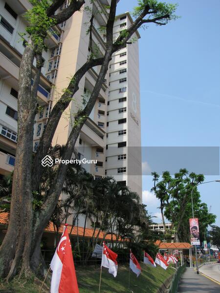 8 Holland Avenue