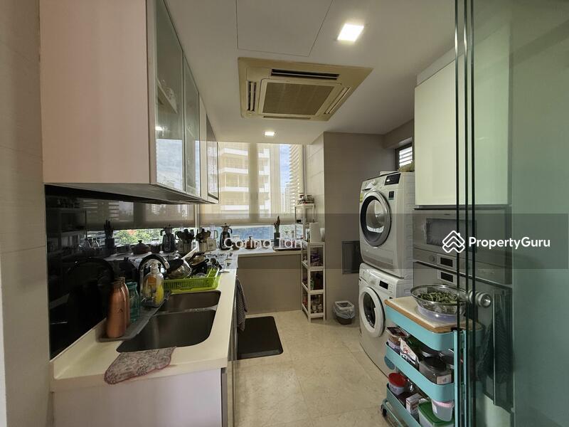 Angullia Park Residences @ Orchard