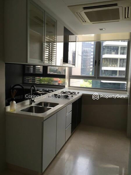 Angullia Park Residences @ Orchard