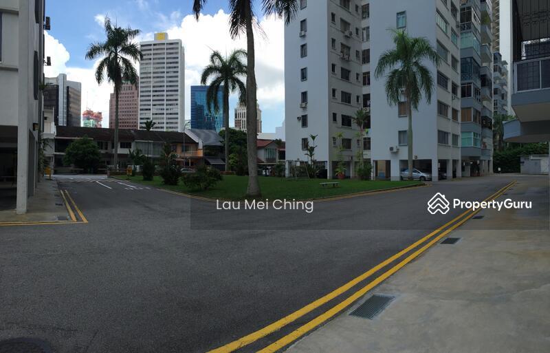 Apartment for Rent: Cairnhill, D09, 229012
