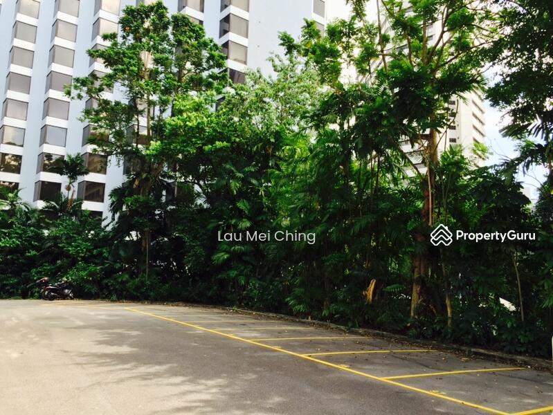 Apartment for Rent: Cairnhill, D09, 229012