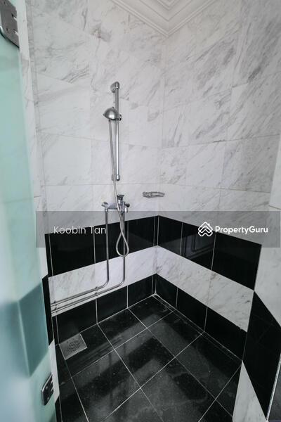 Condominium for Rent: Cairnhill, D09, 229159