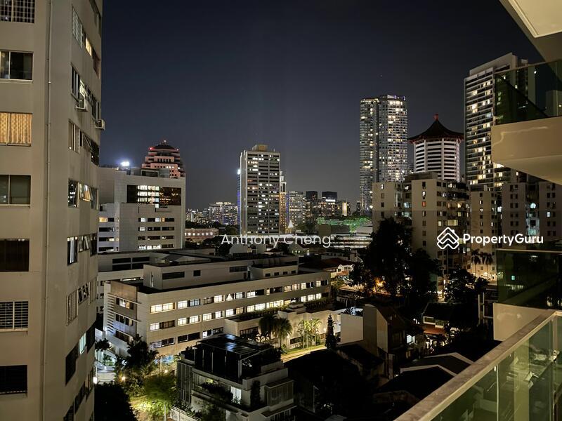 Rhapsody on Mount Elizabeth