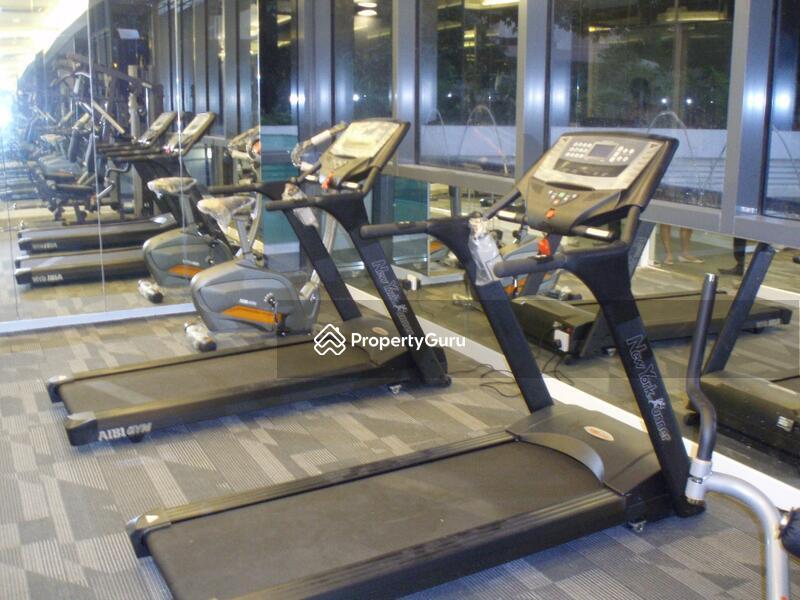 Rhapsody on Mount Elizabeth