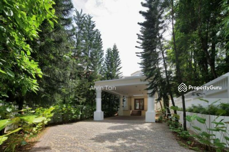 Detached for Rent: Holland, D10, 279805