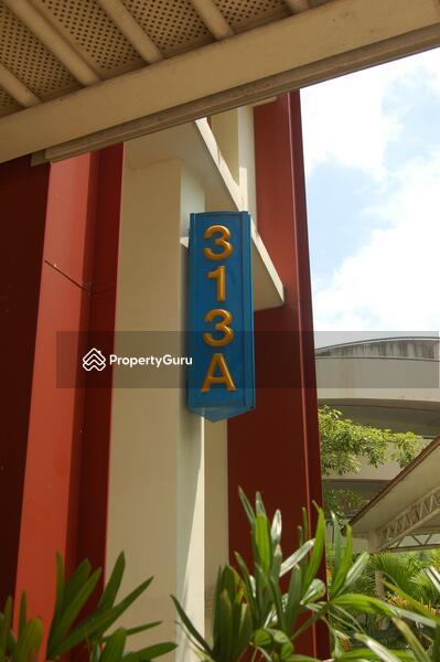 313A Anchorvale Road