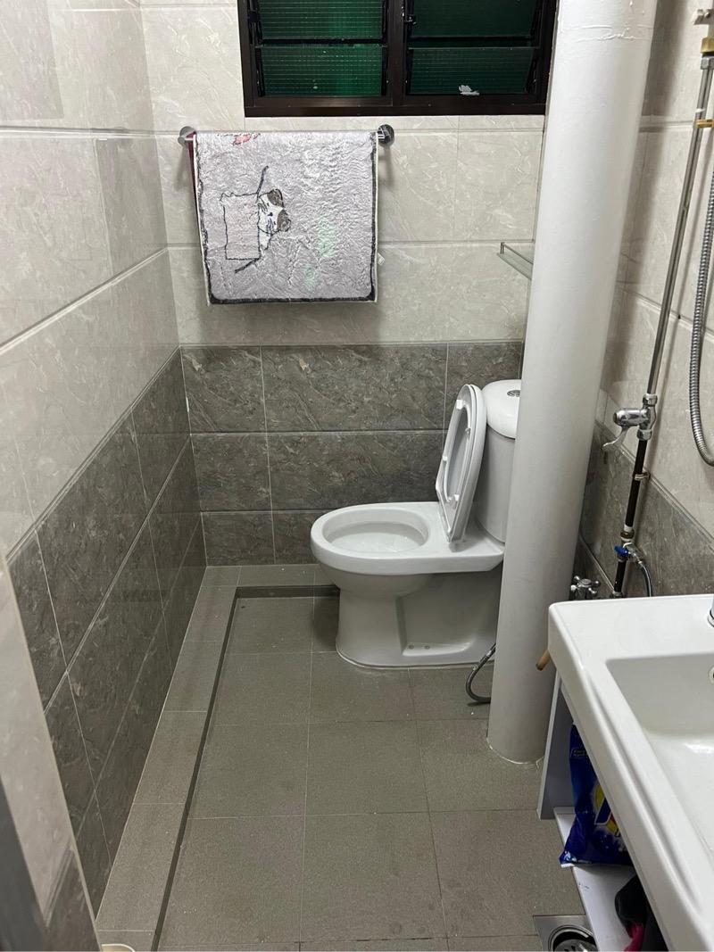 HDB Apartment for Rent: Bukit Panjang, D23, 670435