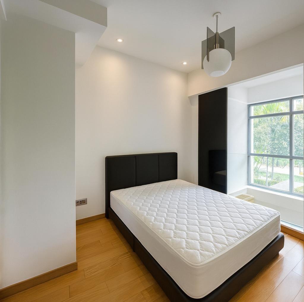 Apartment for Rent: Anson, D02, 078878