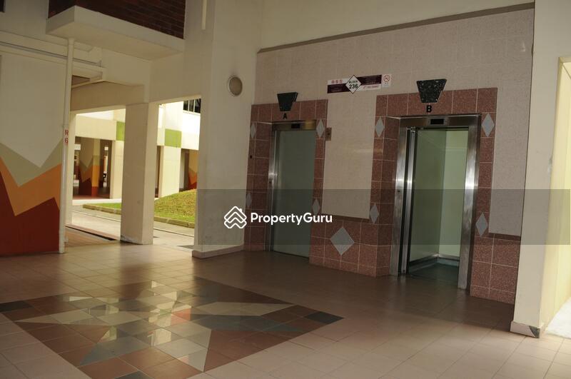 236 Bishan Street 22
