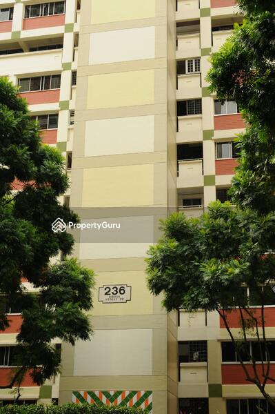 236 Bishan Street 22