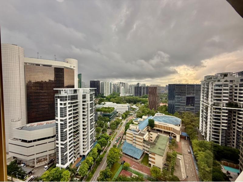 Condominium for Rent: Cairnhill, D09, 229725