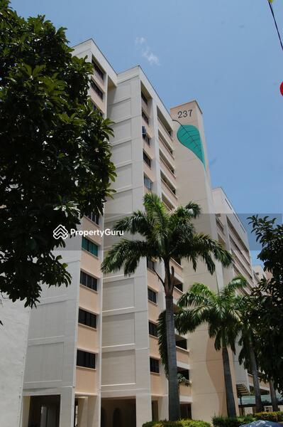 237 Tampines Street 21