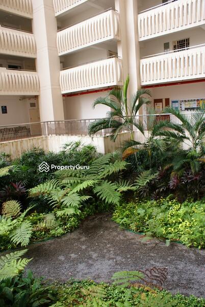 174D Edgedale Plains