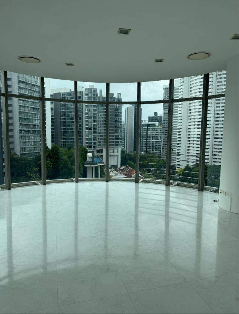Prop-GPT: Condominium: D09 Cairnhill The Edge on Cairnhill