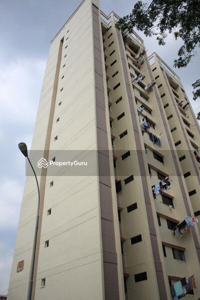 510 Jurong West Street 52