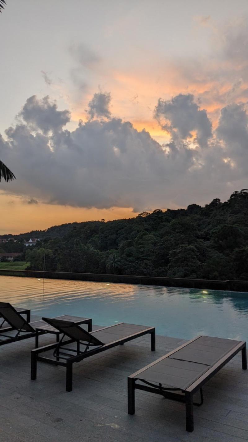 Midwood Condominium For Rent, $3,300, 1 Bed 1 Bath 484 sqft $6.82 psf