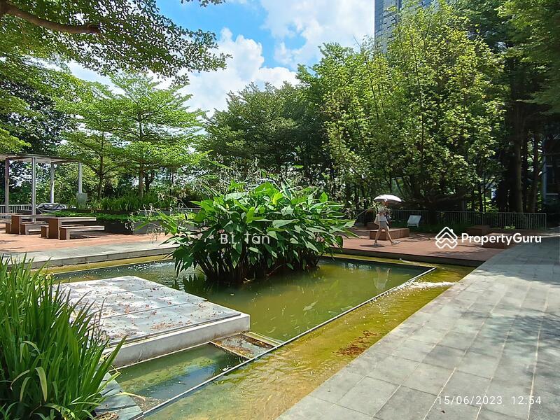 Botannia