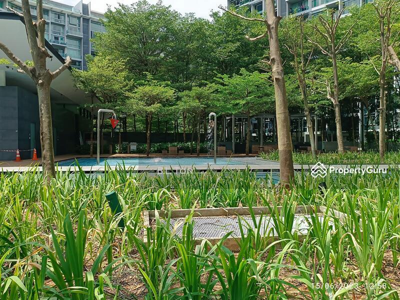 Botannia