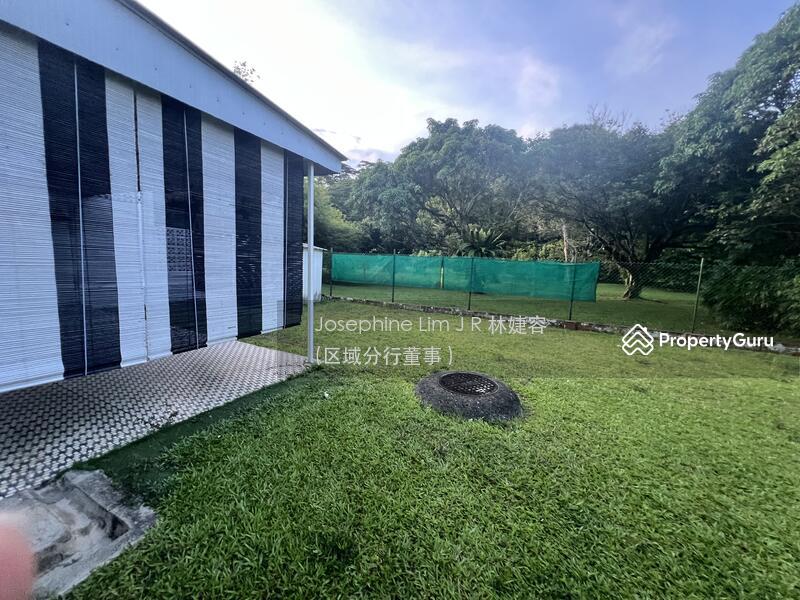 Corner Terrace for Rent: Holland, D10, 277000