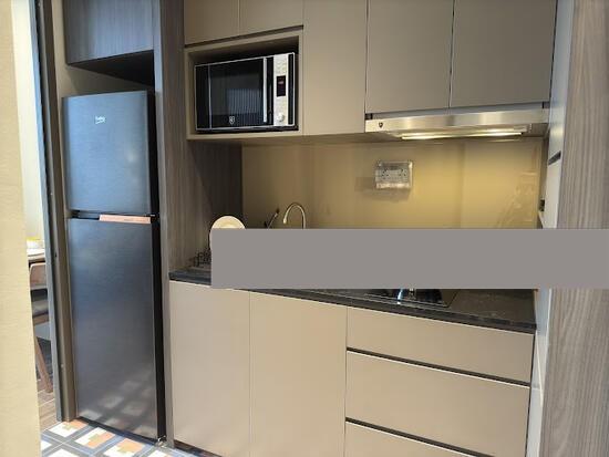 USR Junction Apartment For Rent, $4,080, 1 Bed 1 Bath 409 sqft $9.98 psf