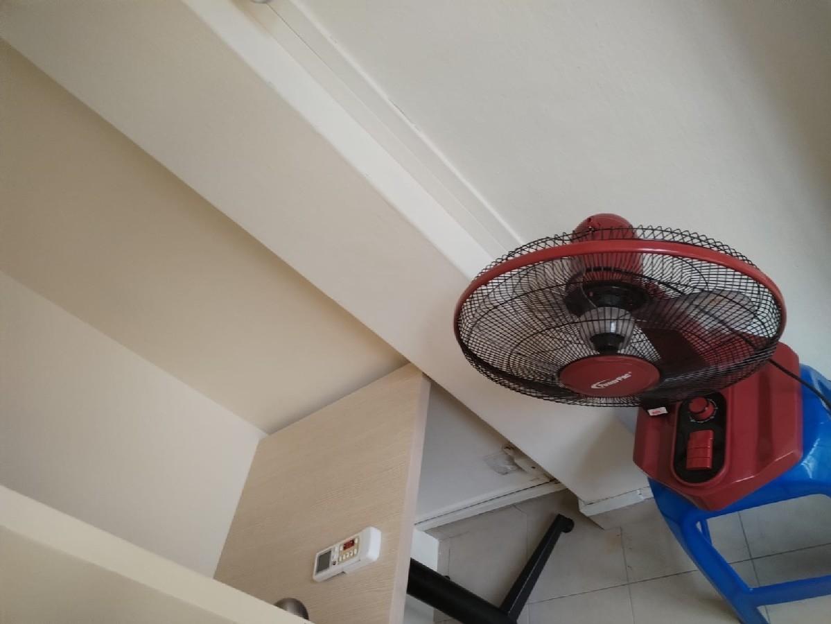 Apartment for Rent: D11, 308603