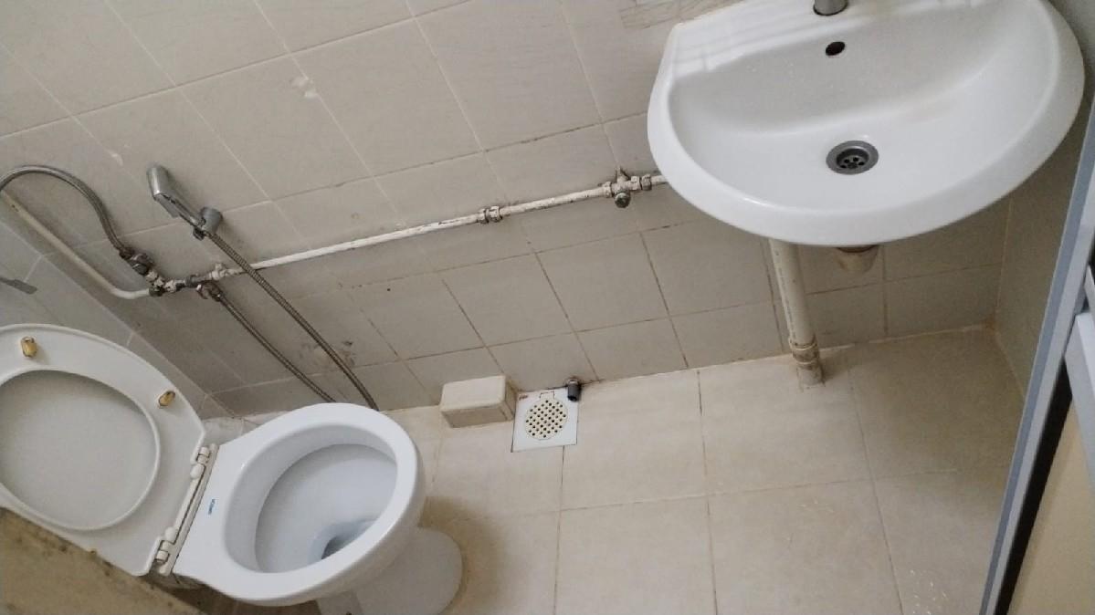Apartment for Rent: D11, 308603
