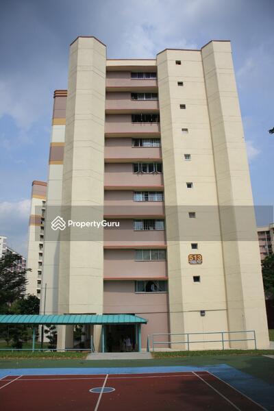 513 Jurong West Street 52