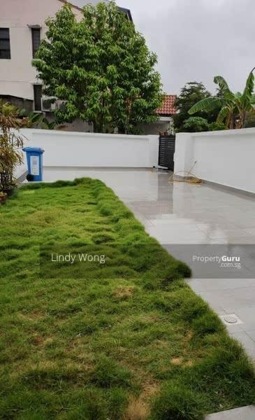 Terrace for Rent: D19, 555000