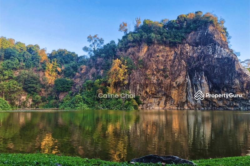 265 Bukit Batok East Avenue 4