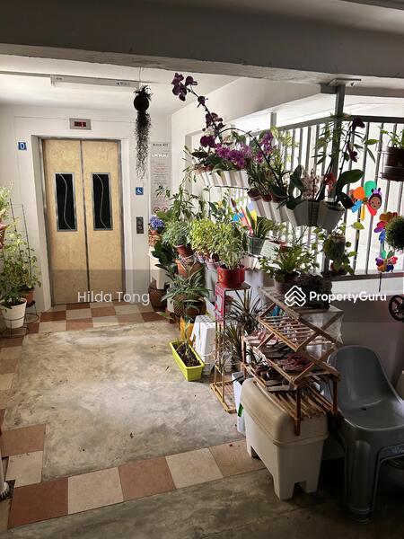 411 Hougang Avenue 10