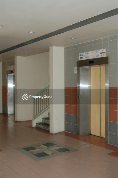541 Pasir Ris Street 51