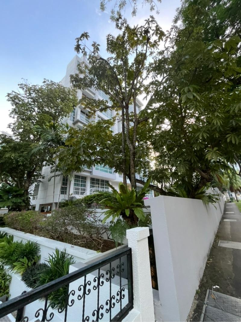 Condominium for Rent: Cairnhill, D09, 228153