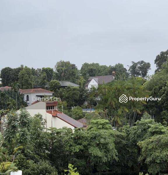 Prop-GPT: Condominium: D21 Upper Bukit Timah Mayfair Gardens