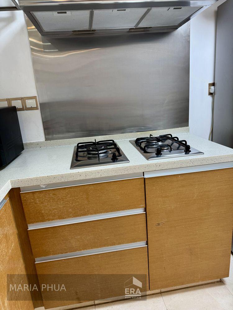 Condominium for Rent: Gopeng Street, Anson, D02, 078878